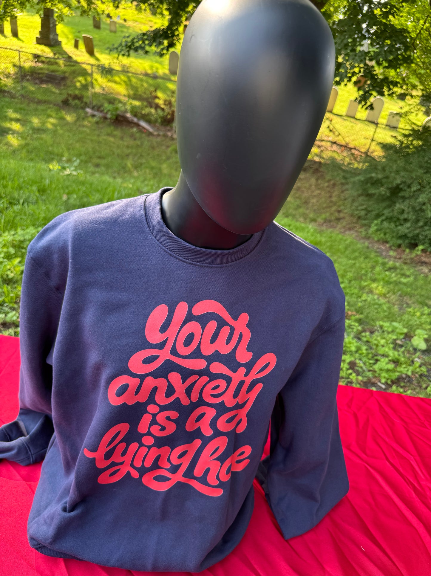 Your Anxiety is a lying ho crew-neck