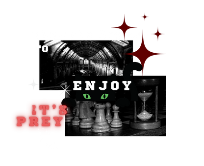 every cat needs their mouse