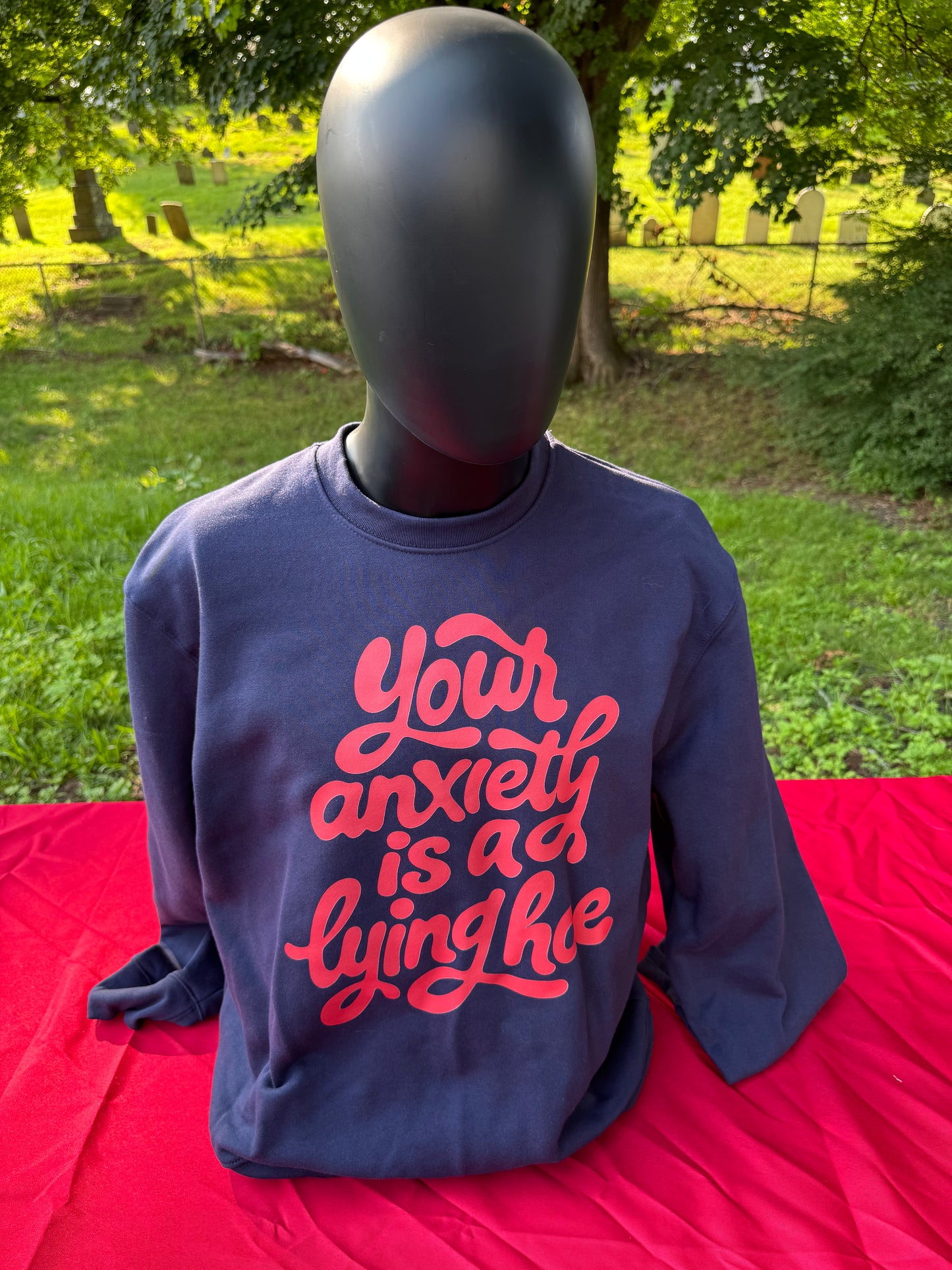 Your Anxiety is a lying ho crew-neck